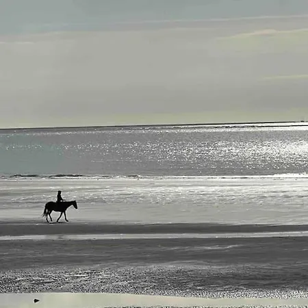 Entre Terre Et